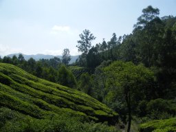dscf0196